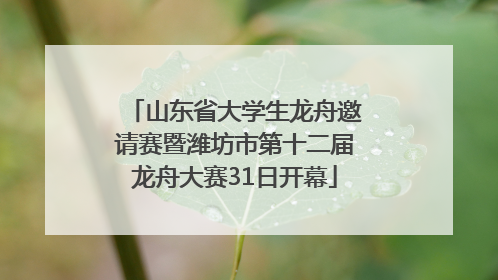 山东省大学生龙舟邀请赛暨潍坊市第十二届龙舟大赛31日开幕