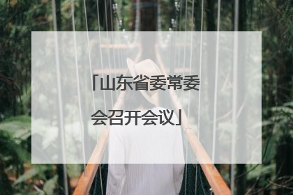 山东省委常委会召开会议