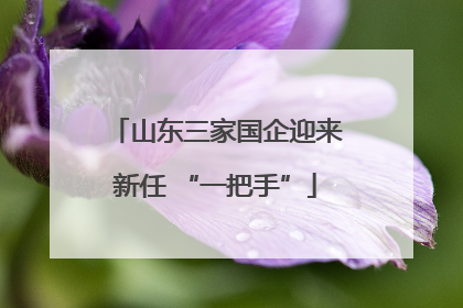 山东三家国企迎来新任 “一把手”