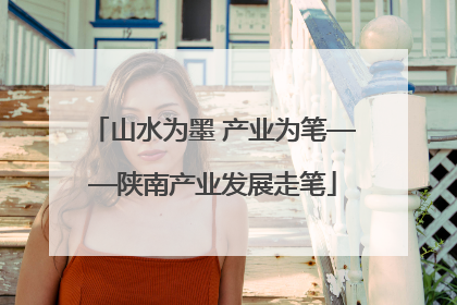 山水为墨 产业为笔——陕南产业发展走笔