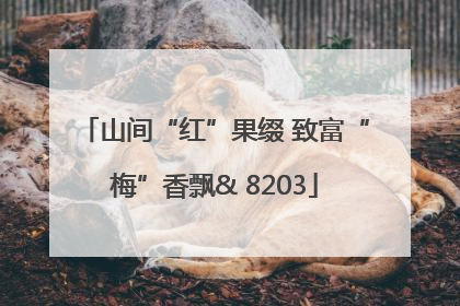 山间“红”果缀 致富“梅”香飘& 8203
