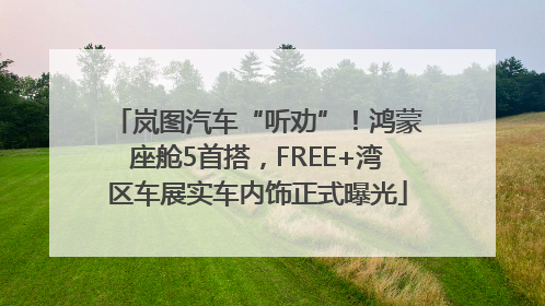 岚图汽车“听劝”！鸿蒙座舱5首搭，FREE+湾区车展实车内饰正式曝光