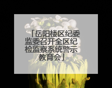 岳阳楼区纪委监委召开全区纪检监察系统警示教育会