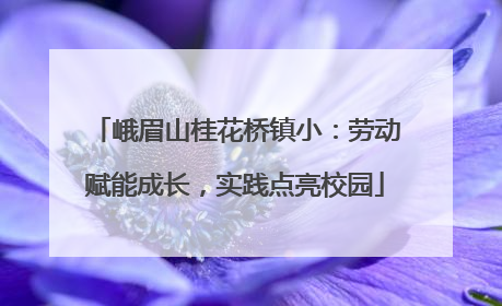 峨眉山桂花桥镇小：劳动赋能成长，实践点亮校园