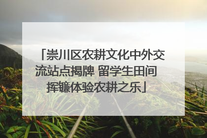 崇川区农耕文化中外交流站点揭牌 留学生田间挥镰体验农耕之乐