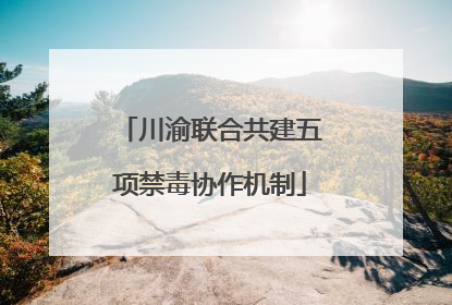 川渝联合共建五项禁毒协作机制