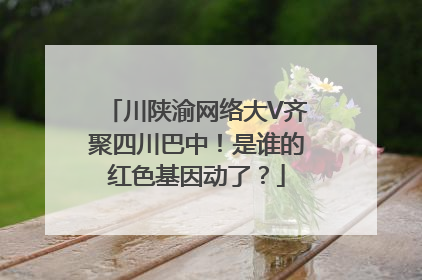 川陕渝网络大V齐聚四川巴中！是谁的红色基因动了？