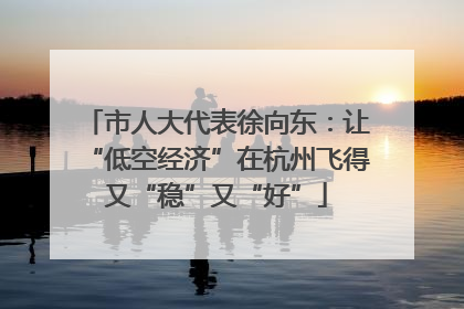 市人大代表徐向东：让“低空经济”在杭州飞得又“稳”又“好”