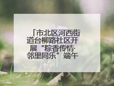 市北区河西街道台柳路社区开展“粽香传情·邻里同乐”端午文化主题活动