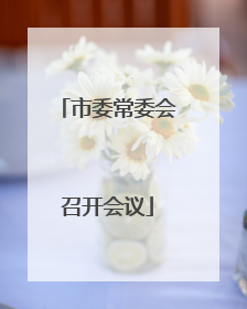 市委常委会召开会议