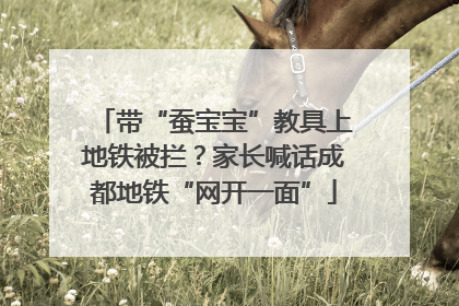 带“蚕宝宝”教具上地铁被拦？家长喊话成都地铁“网开一面”