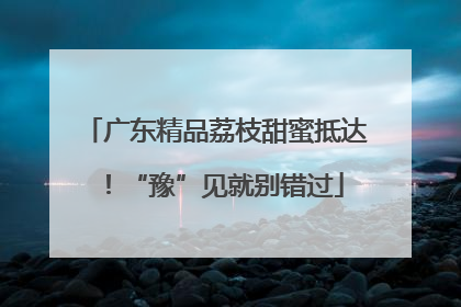 广东精品荔枝甜蜜抵达！“豫”见就别错过