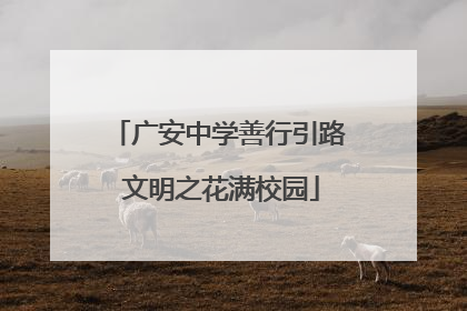 广安中学善行引路 文明之花满校园