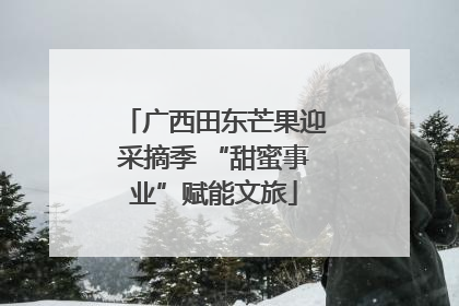 广西田东芒果迎采摘季 “甜蜜事业”赋能文旅