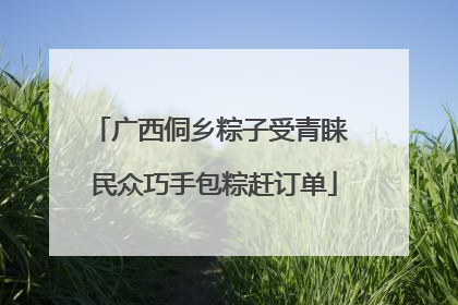 广西侗乡粽子受青睐 民众巧手包粽赶订单