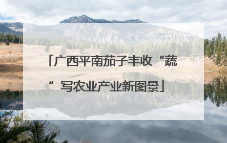 广西平南茄子丰收“蔬”写农业产业新图景