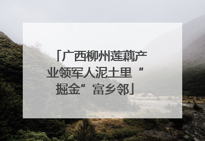 广西柳州莲藕产业领军人泥土里“掘金”富乡邻