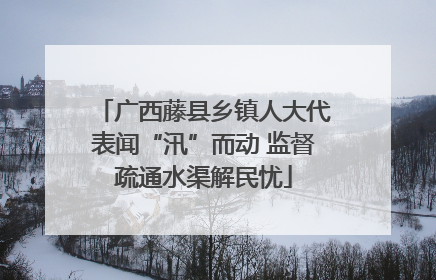 广西藤县乡镇人大代表闻“汛”而动 监督疏通水渠解民忧