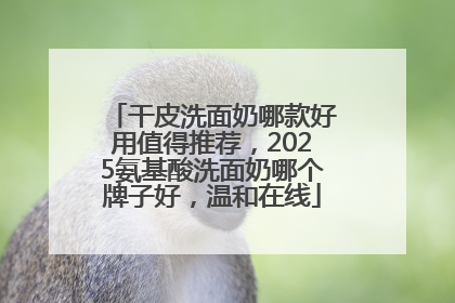 干皮洗面奶哪款好用值得推荐，2025氨基酸洗面奶哪个牌子好，温和在线