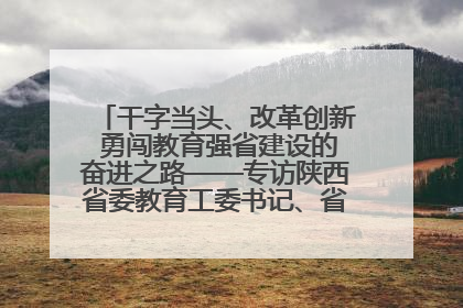 干字当头、改革创新 勇闯教育强省建设的奋进之路——专访陕西省委教育工委书记、省教育厅厅长王树声