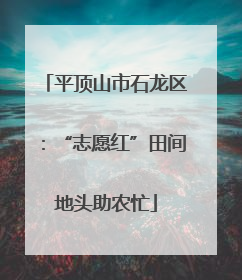 平顶山市石龙区：“志愿红”田间地头助农忙
