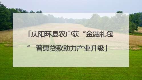 庆阳环县农户获“金融礼包” 普惠贷款助力产业升级