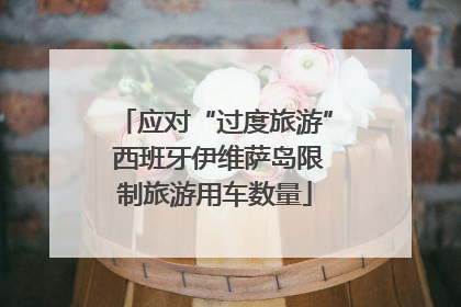 应对“过度旅游” 西班牙伊维萨岛限制旅游用车数量