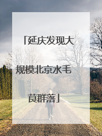 延庆发现大规模北京水毛茛群落