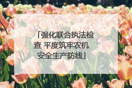强化联合执法检查 平度筑牢农机安全生产防线