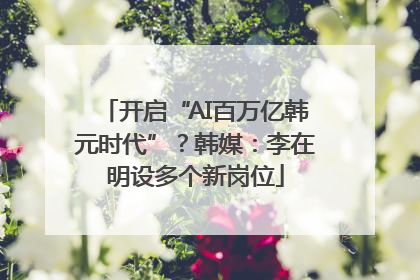 开启“AI百万亿韩元时代”？韩媒：李在明设多个新岗位