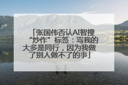 张国伟否认AI智搜“炒作”标签：骂我的大多是同行，因为我做了别人做不了的事