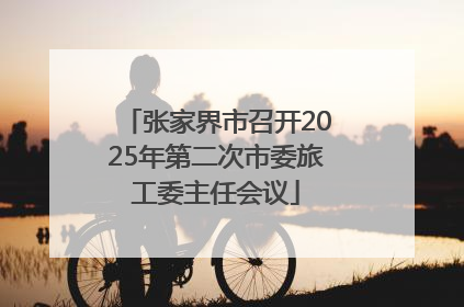 张家界市召开2025年第二次市委旅工委主任会议