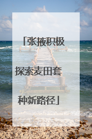 张掖积极探索麦田套种新路径
