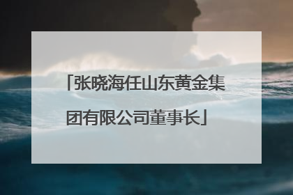 张晓海任山东黄金集团有限公司董事长