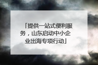 提供一站式便利服务，山东启动中小企业出海专项行动