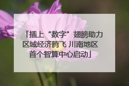 插上“数字”翅膀助力区域经济腾飞 川南地区首个智算中心启动