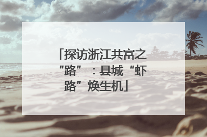 探访浙江共富之“路”：县城“虾路”焕生机