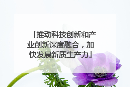 推动科技创新和产业创新深度融合，加快发展新质生产力