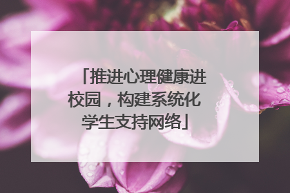 推进心理健康进校园，构建系统化学生支持网络