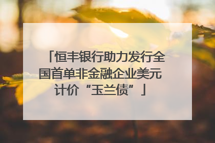 恒丰银行助力发行全国首单非金融企业美元计价“玉兰债”