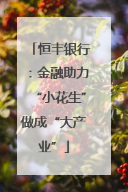 恒丰银行：金融助力“小花生”做成“大产业”