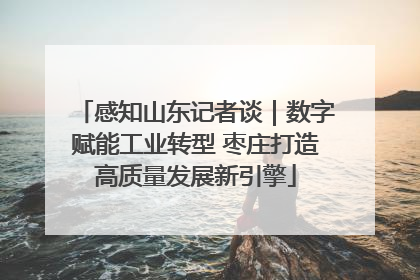 感知山东记者谈｜数字赋能工业转型 枣庄打造高质量发展新引擎
