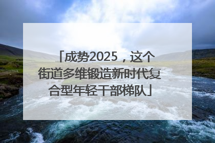 成势2025，这个街道多维锻造新时代复合型年轻干部梯队
