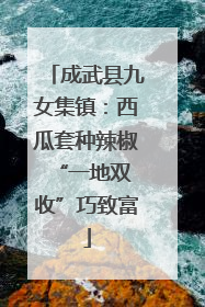 成武县九女集镇：西瓜套种辣椒 “一地双收”巧致富