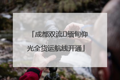 成都双流⇌缅甸仰光全货运航线开通