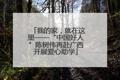 我的家，就在这里——“中国好人”陈树伟再赴广西开展爱心助学