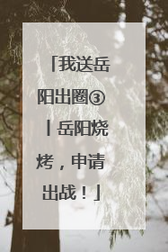 我送岳阳出圈③丨岳阳烧烤，申请出战！