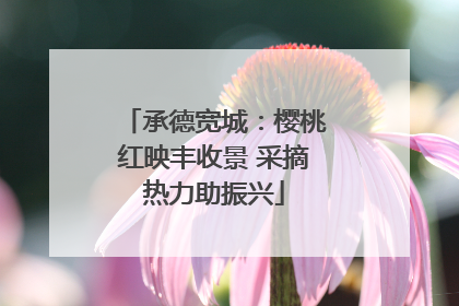 承德宽城：樱桃红映丰收景 采摘热力助振兴