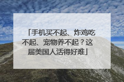 手机买不起、炸鸡吃不起、宠物养不起？这届美国人活得好难