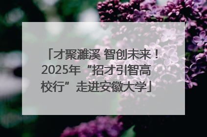 才聚濉溪 智创未来！2025年“招才引智高校行”走进安徽大学